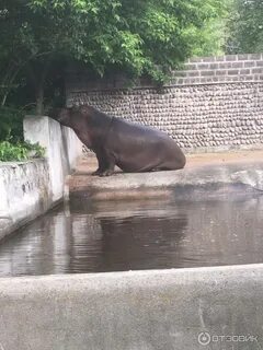 Зоопарк в ереване
