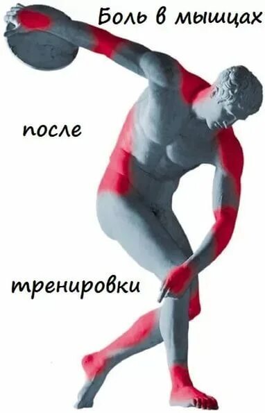 ходьба с палками как тренировка для любого возраста, как правильно выбрать палки