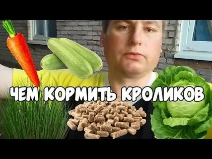 Чем кормить кролика для быстрого набора