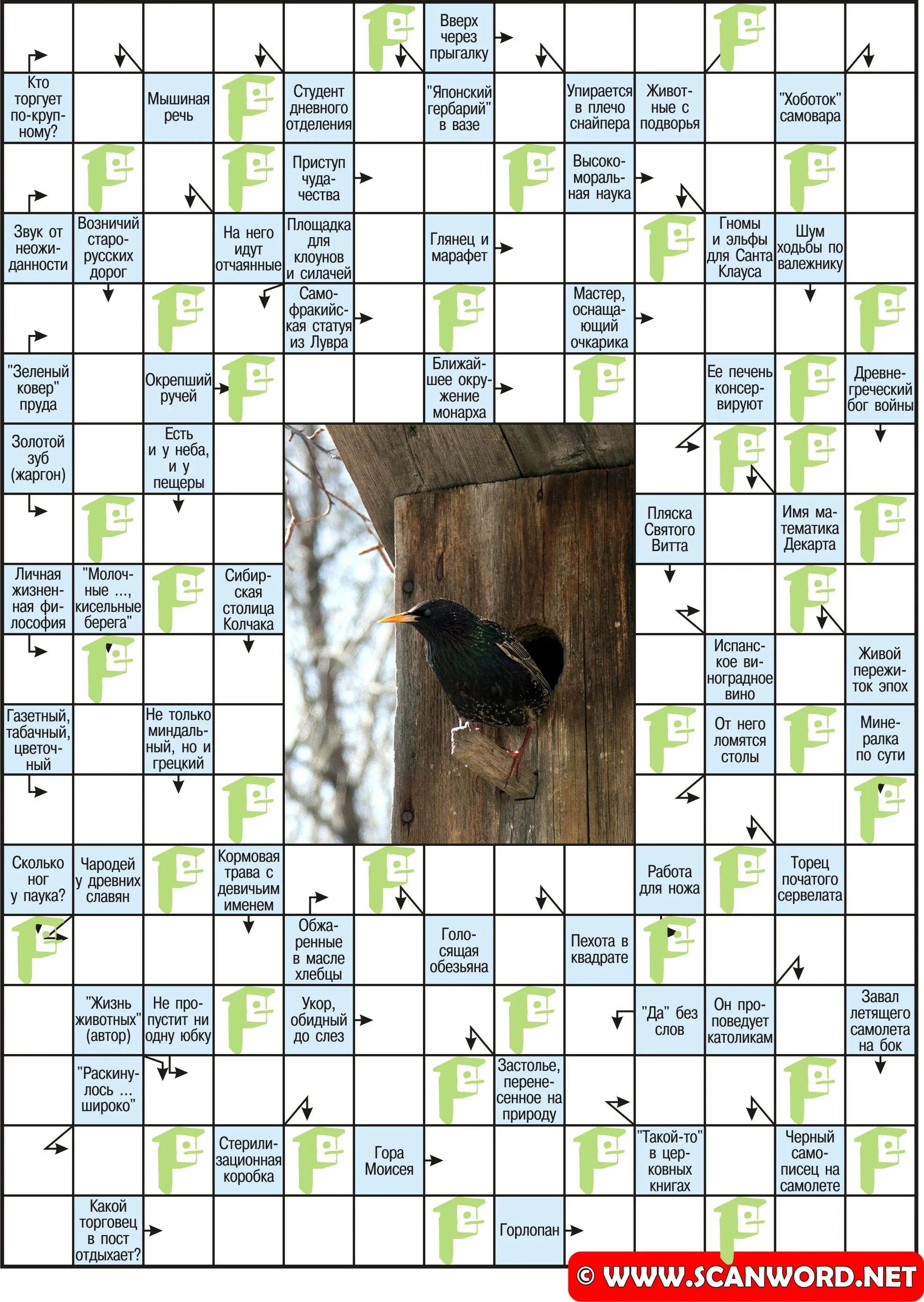 Кроссворд по африке. Южное дерево 5 букв сканворд. Кроссворды для пожилых. Плод маслины. Южное дерево 5 букв сканворд.