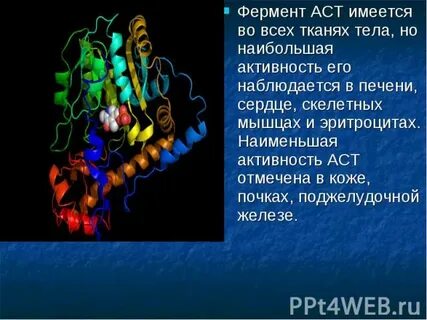 Печеночные ферменты что это