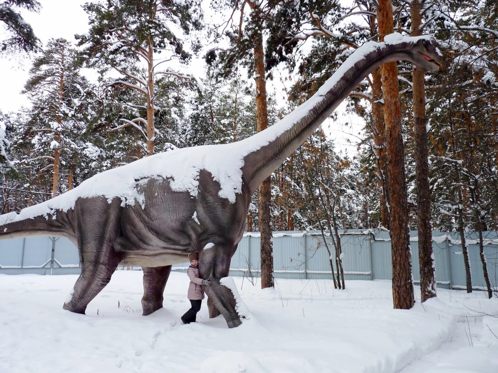 выставка-парк «ледниковый период». музей ледниковый период крокус. мамонты плейстоценового парка. макраухения смилодон. парк с мамонтами в ульяновске.
