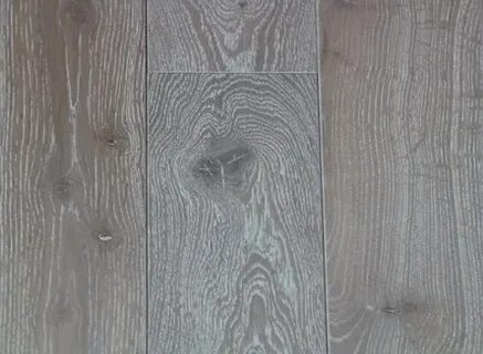 Ясень арктика