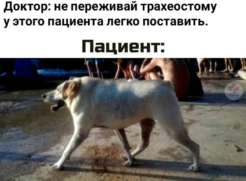 Легко и без особых. Легкая прическа для девочки в садик. Беседка пристроенная к дому. Красивые и простые прически. Самый дешевый образ.