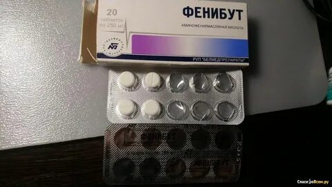 Фенибу 2.0