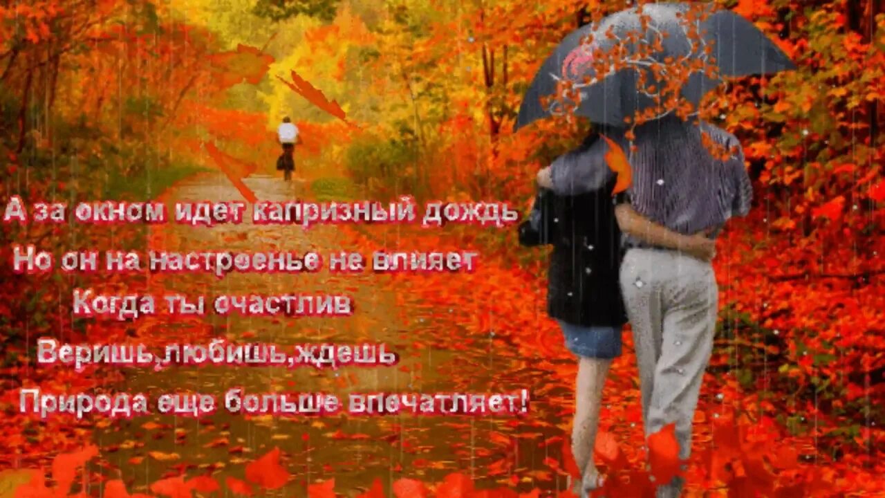 Цветы на дождливом окне. Женщина у дождливого окна. Девушка с зонтиком. Любовь под дождем. Дождь в окне.
