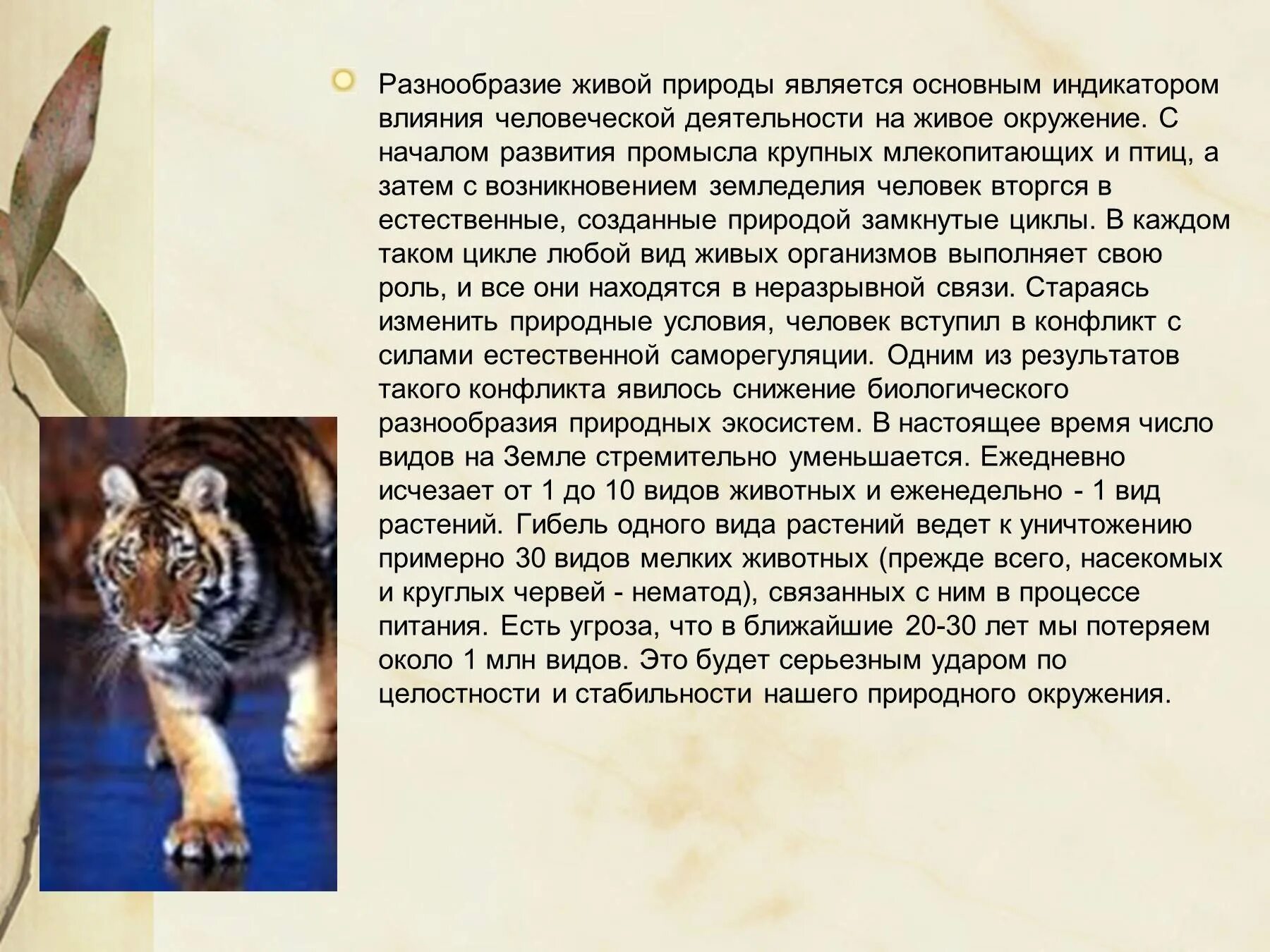 Живой мир доклад. Разнообразие живой природы. Проект разнообразие живой природы. Доклад о разнообразии живой природы. Многообразие живой природы доклад.