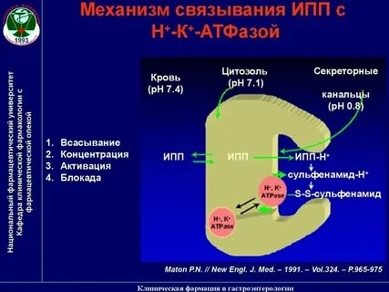 Механизм действия ингибиторов ферментов