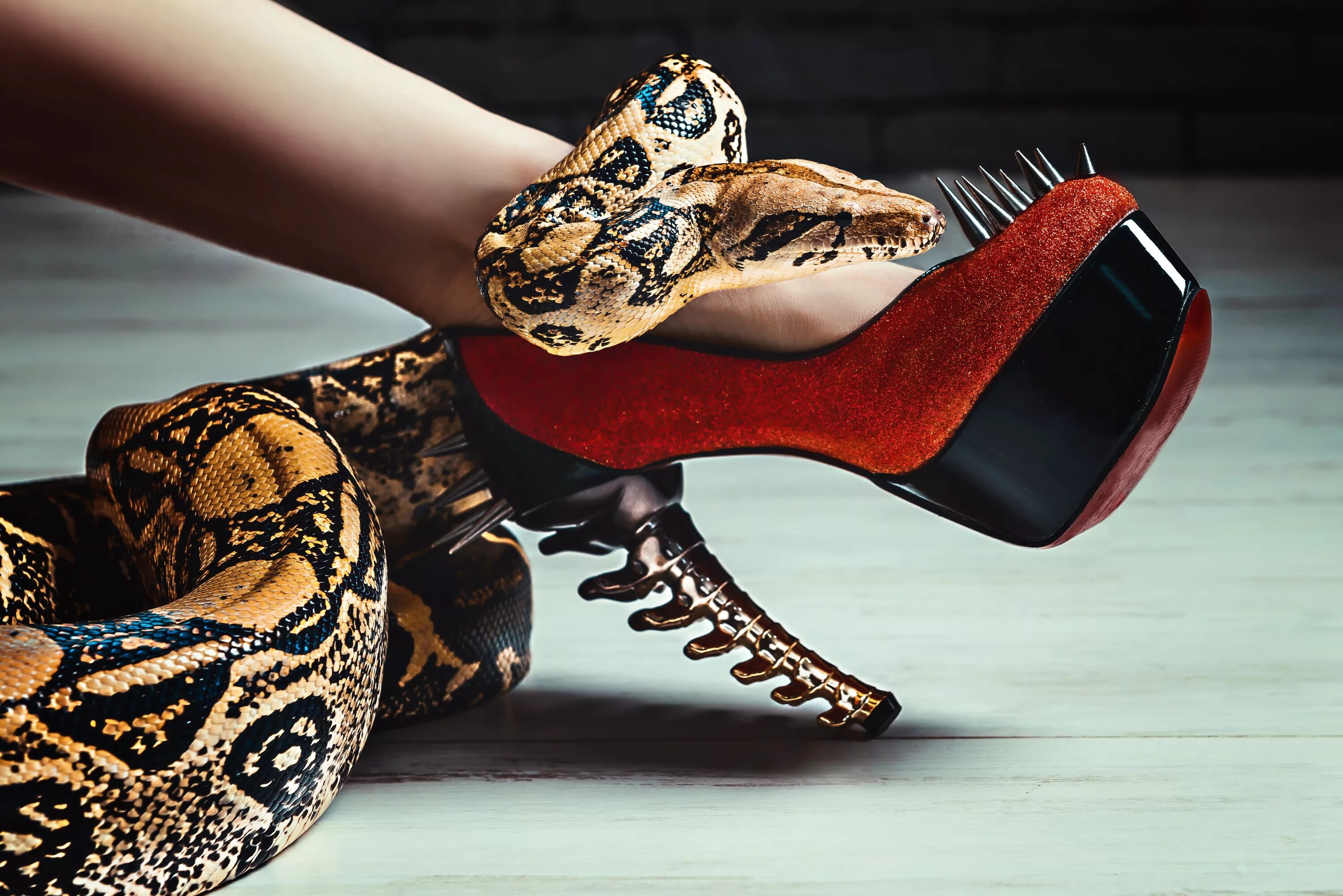 Девушка питона. Туфли со змеей. Туфли змеиная кожа. Необычные туфли. Туфли кобры.