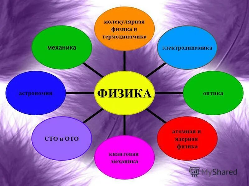 взаимосвязь экологии с биологией. естественные науки. физика химия биология психология. биологическая электродинамика. теория организации.