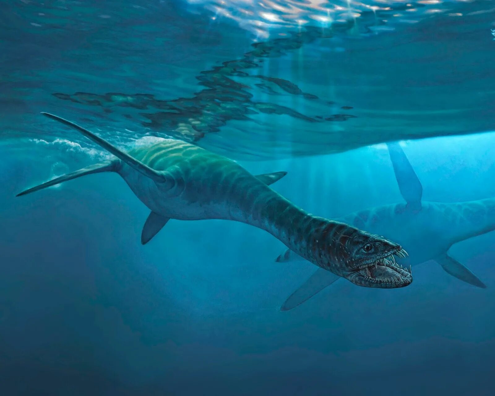 Abyssosaurus nataliae. Эласмозавр. Плезиозавр. Пресноводный Плезиозавр.