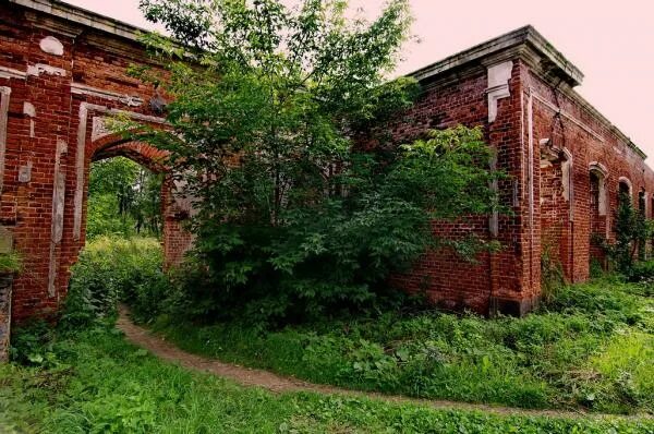 Савино смоленской. Аржаники Смоленская область Гагаринский район. Пречистое Гагаринский район Смоленской области умелец. Усадьба Ефремово Гагаринский район. Деревня Аржаники Смоленской области.