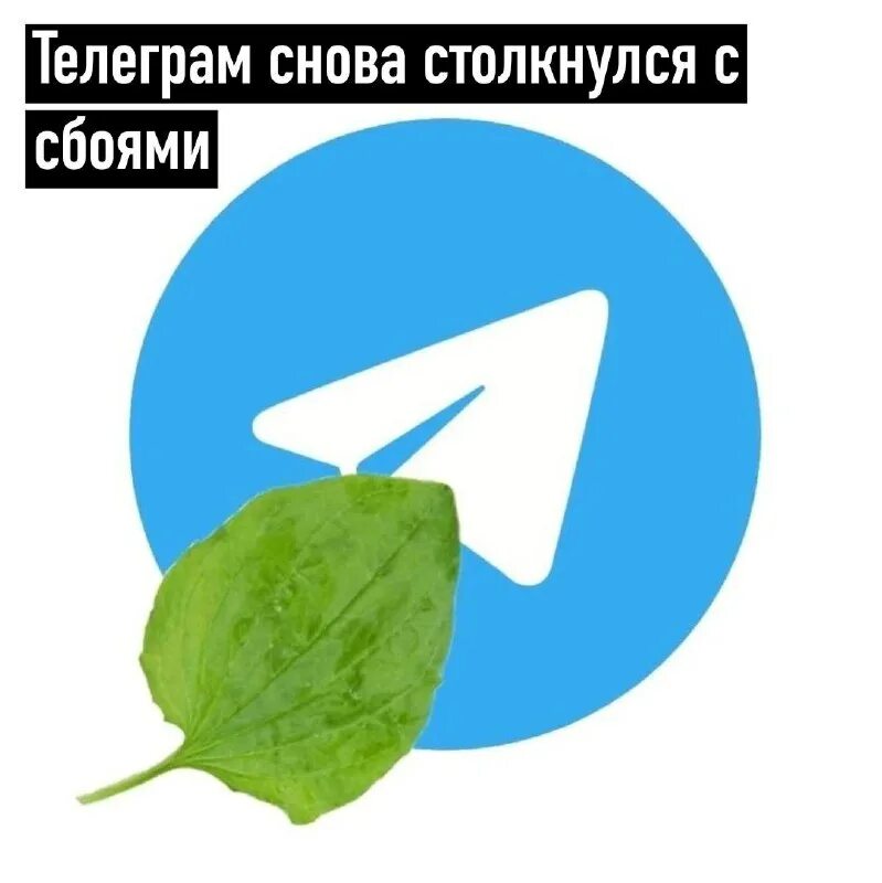 Что в курске сегодня телеграмм. Что в курске сегодня телеграмм