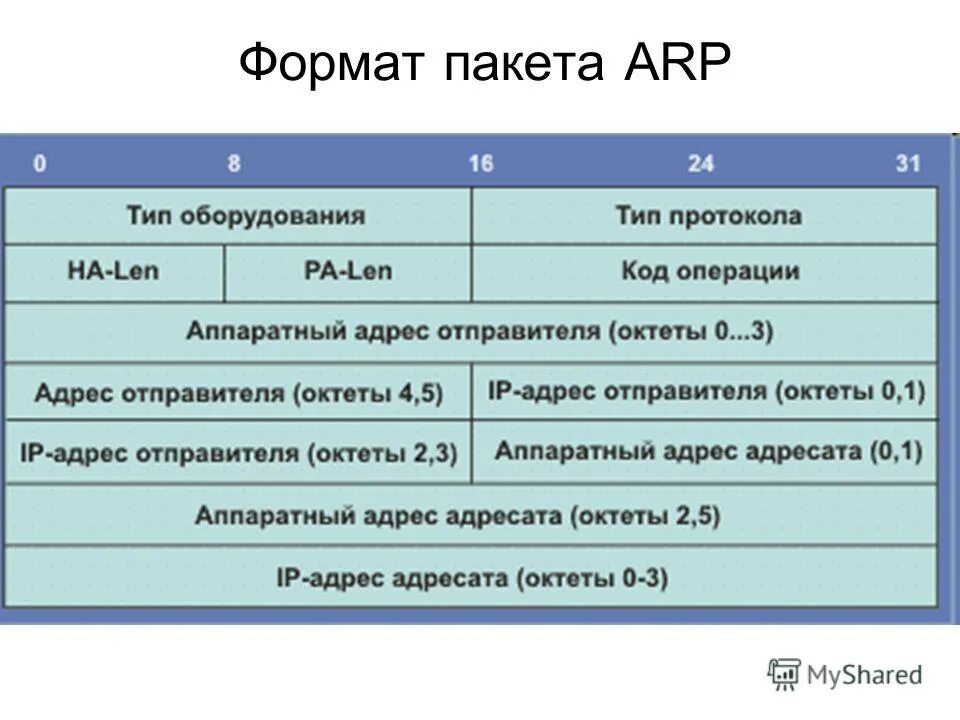 Структура пакета передачи данных. Пакет данных пример. Форматы пакетов. Формат пакета данных. Формат ip пакета.