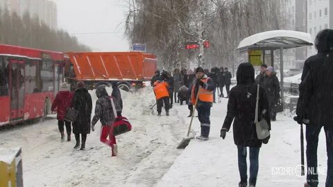 За сутки выпало