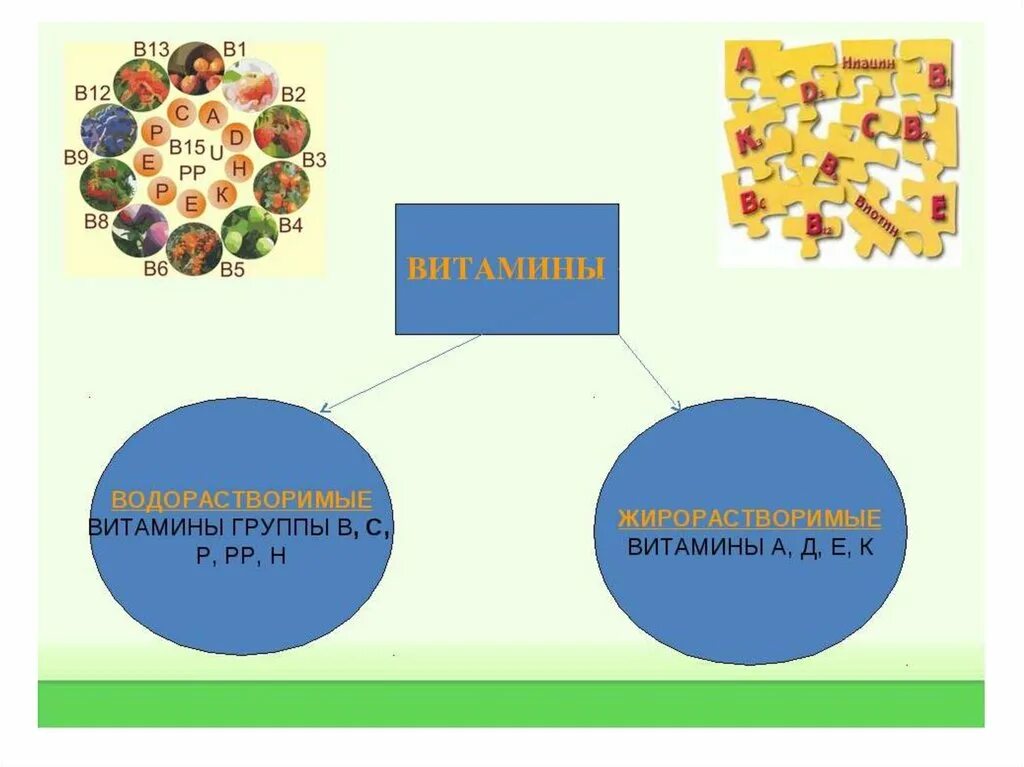 Схема витамины 8 класс биология. Витамины тема по биологии. Витамин к презентация по биологии. Витамины биология 8 класс.