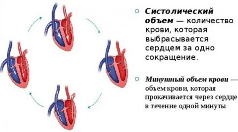 Количество сердец