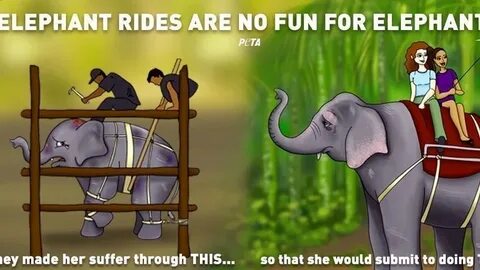Are fun