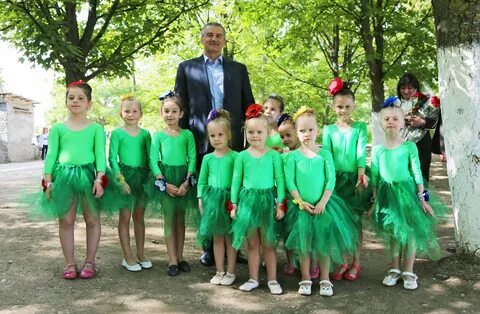 Добровская школа именам слонимского