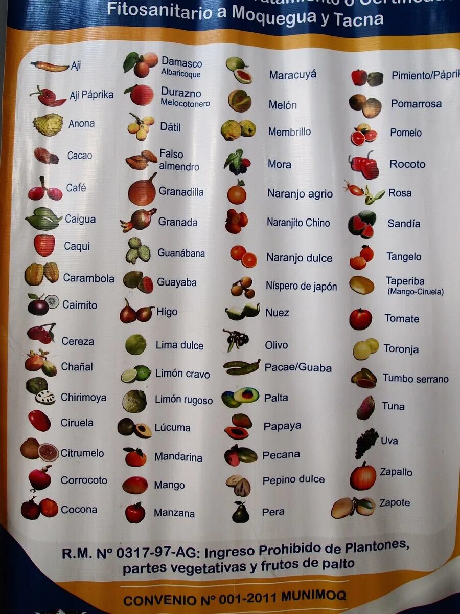 Название фруктов и ягод. Названия фруктов список. Фрукты список названий. Экзотические фрукты список названий.