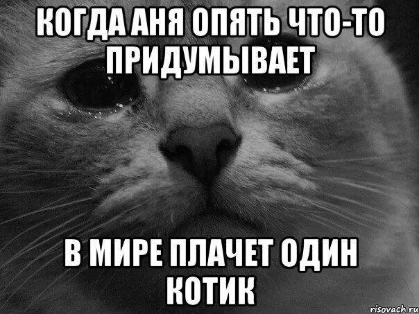 Мир будет плакать. Коты мемы. Котик Мем. Хорошо Мем кот. Мем кот ты.