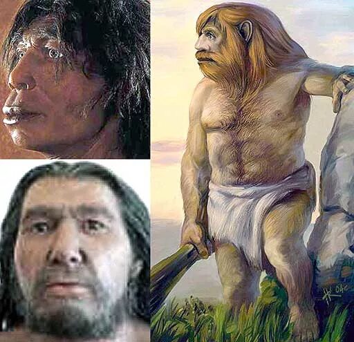 Предки архантропов. Архантропы неандертальцы кроманьонцы. Архантропы эпоха. Неандерталец и Денисовец.