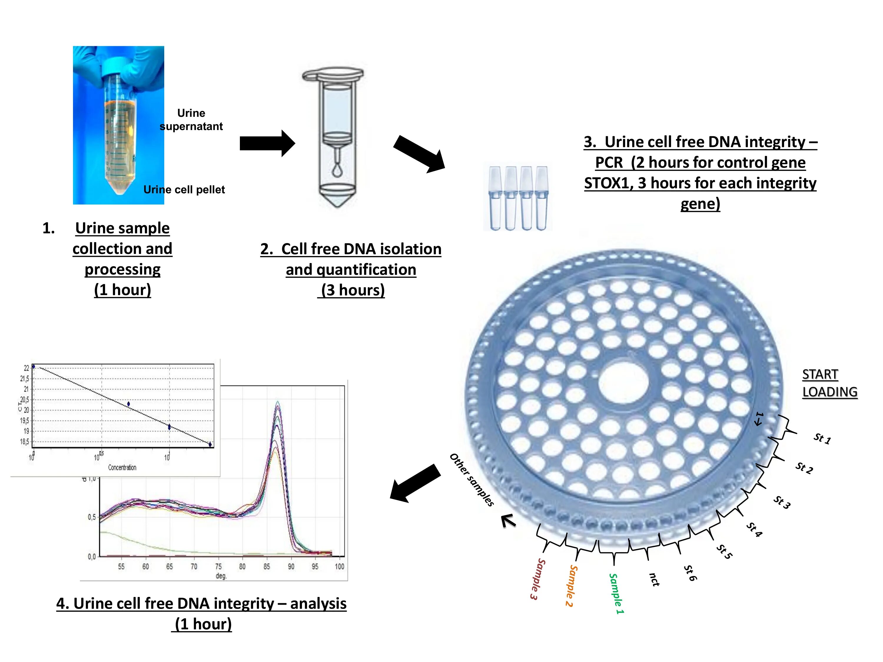 Cell analysis