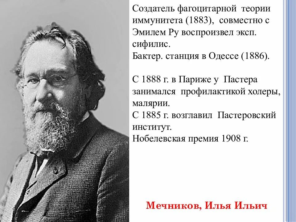 Создатели теории иммунитета. Создатель фагоцитарной теории иммунитета. мечников основоположник фагоцитарной теории иммунитета. мечников создатель теории. теория мечникова.