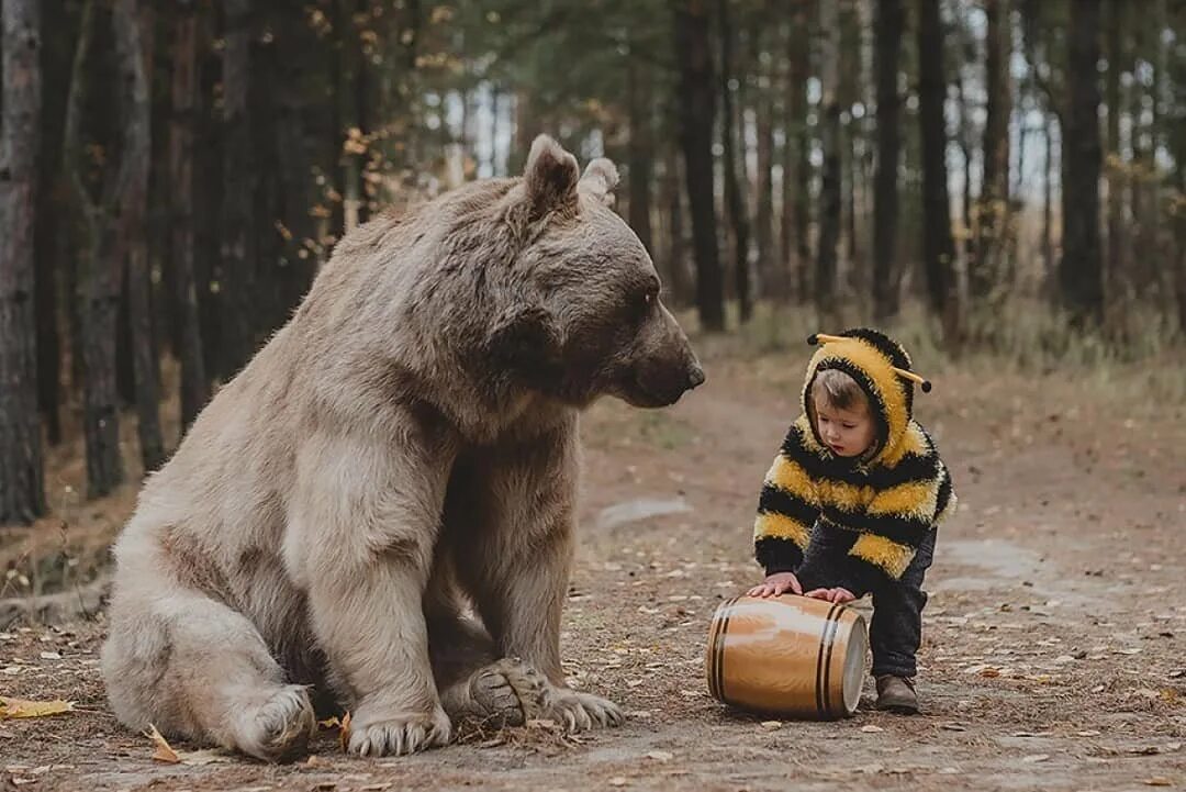 Я медведь настоящий медвежонок или нет. Медведь с медом. Медведь ест мед. Бурый медведь с медом.