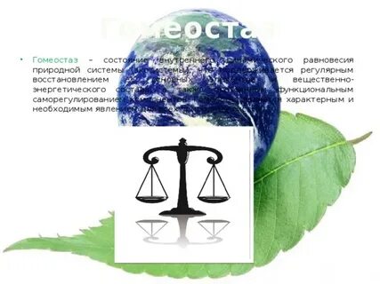 Равновесие экосистем