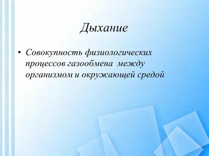 Газообмен между организмами и окружающей средой