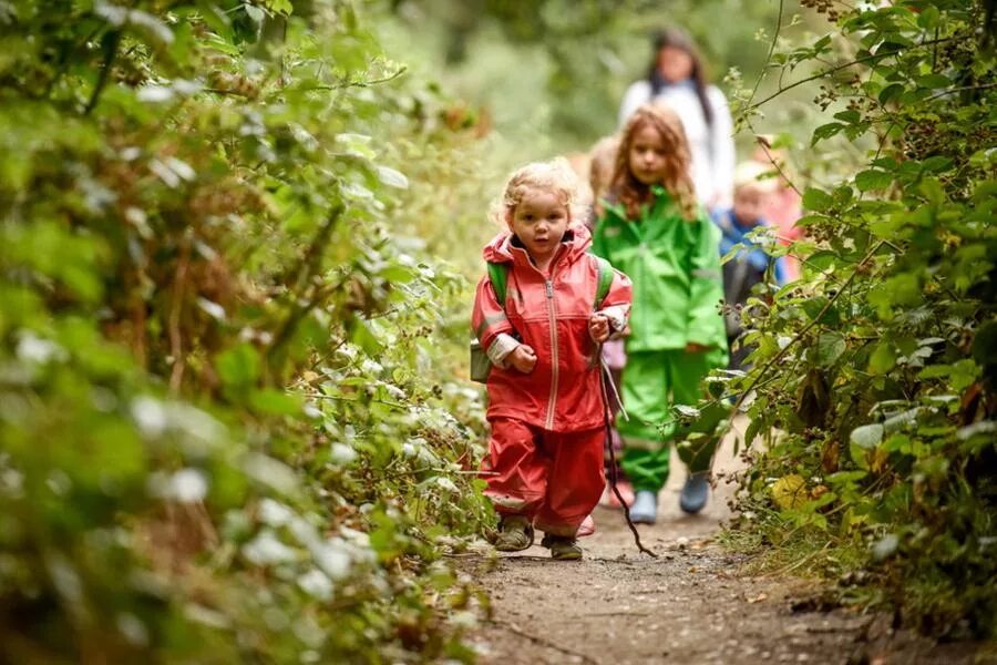 Ребенок без прогулки. Дети и природа. Прогулки в лесу с детьми. Дети на прогулке. Экскурсия на природу.