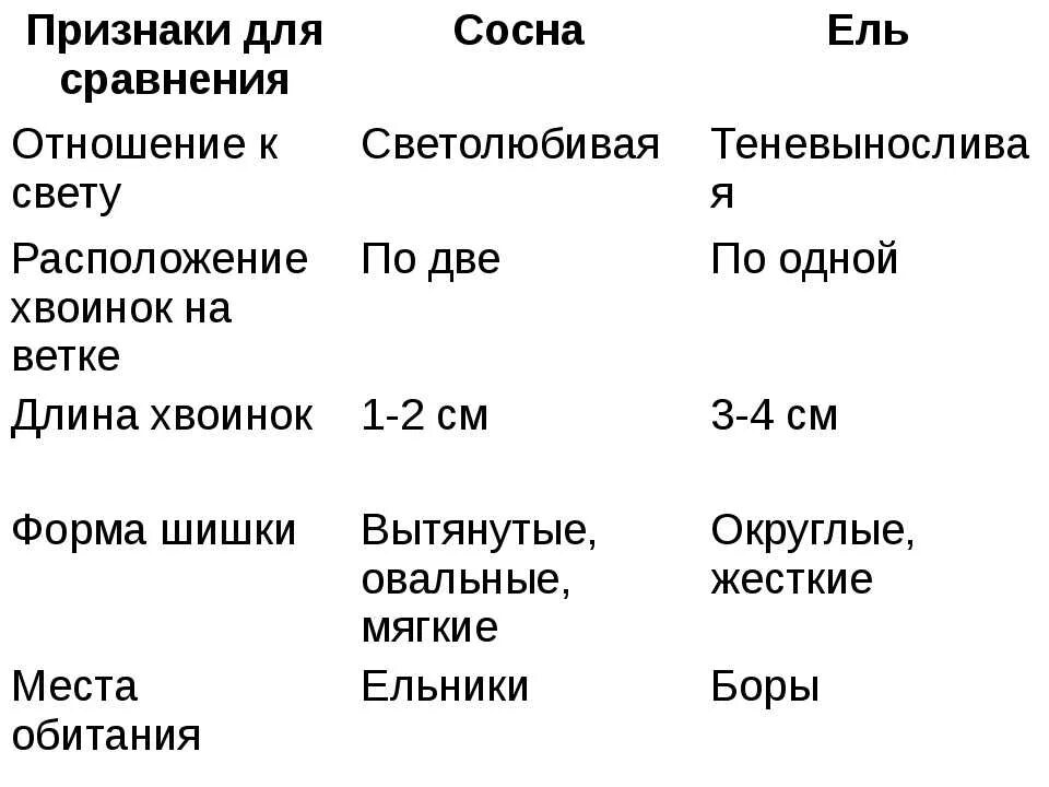 Сравнение сосны и ели таблица 7 класс Сравнительная характеристика голосеменных на примере сосны и ели таблица заполне