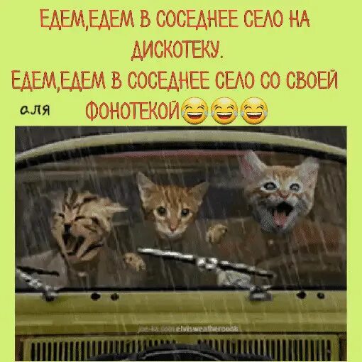 Едем на дискотеку со своей фонотекой. Слова песни едем в соседнее село. текст песни едем на дискотеку. текст песни едем в соседнее село на дискотеку. едем едем на дискотеку со своей.