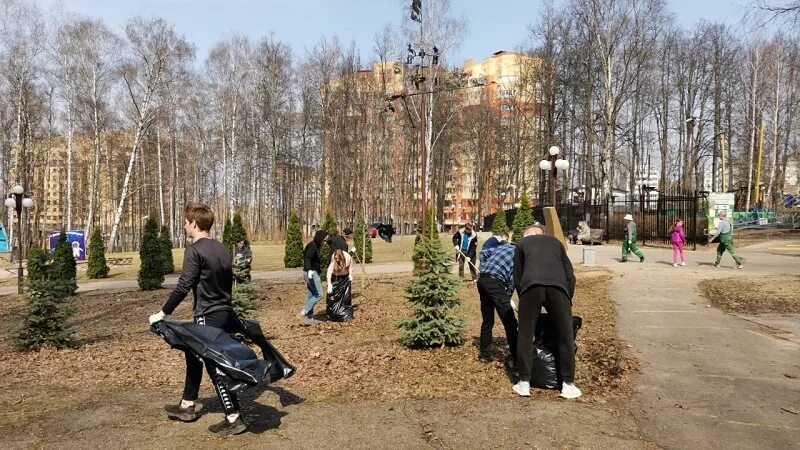 Дмитровский техникум. Дмитровский техникум Новосиньково. Политехнический колледж Дмитров. Субботник в апреле студенты. Колледж на дмитровском