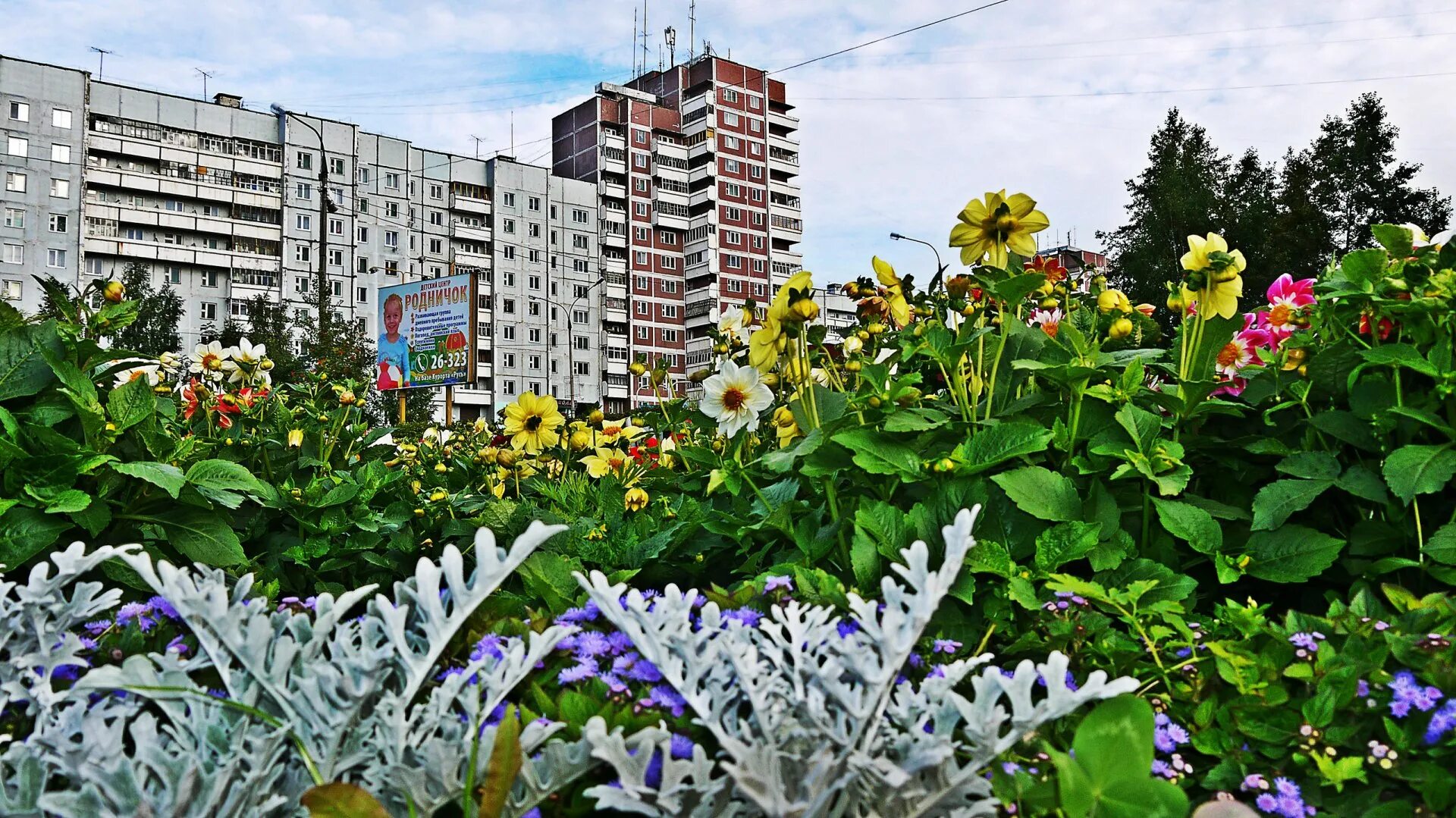 Притяжение усть илимск