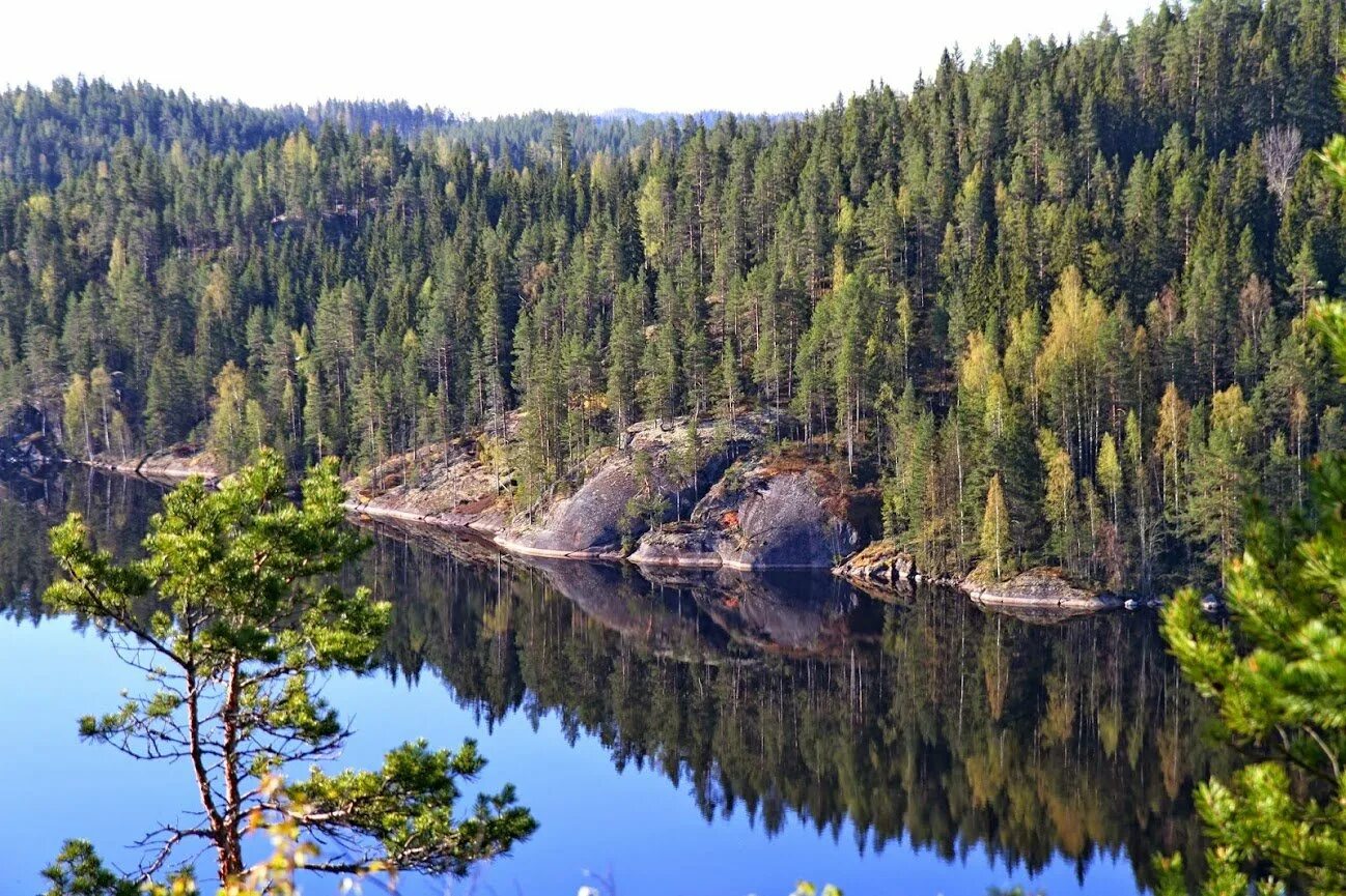Сайма Финляндия. Озеро Саймаа Финляндия. Озеро Сайма (Юго-Восток Финляндии). Сайменские озера в Финляндии.