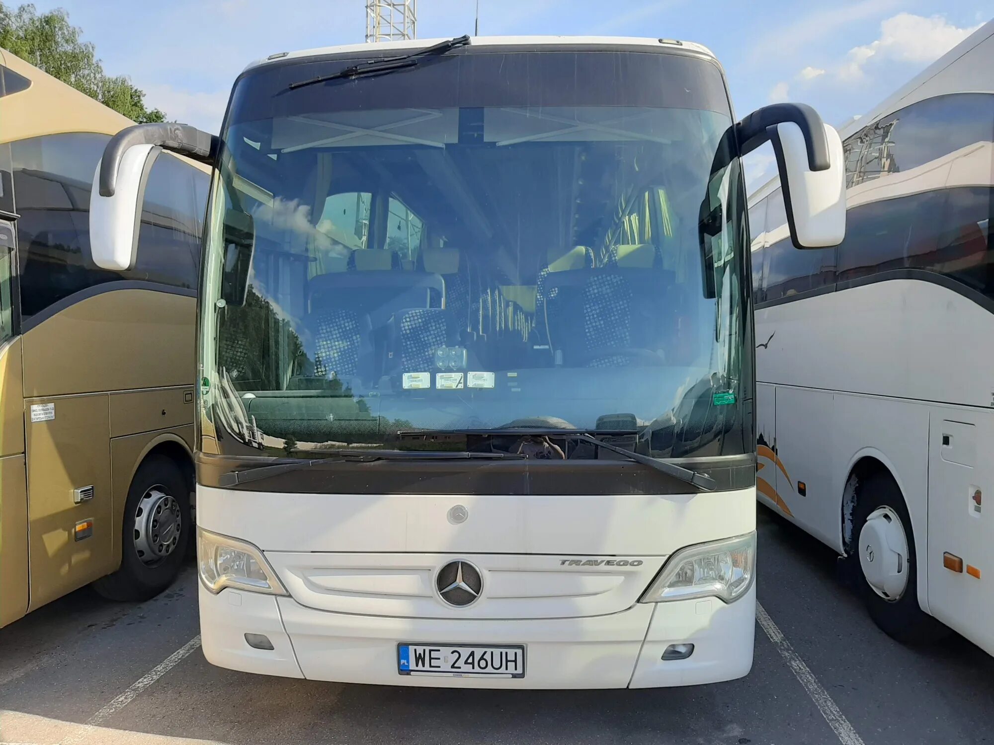 Туроператор гамма. Гамма тур на 2025 год. Ман lion's coach 2021. Гамма тревел. Гамма тур на 2025 год.