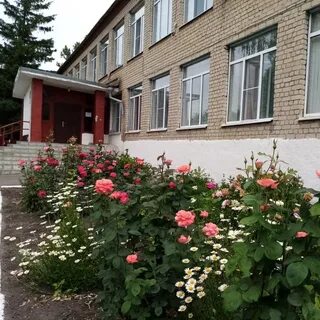 Александровская средняя