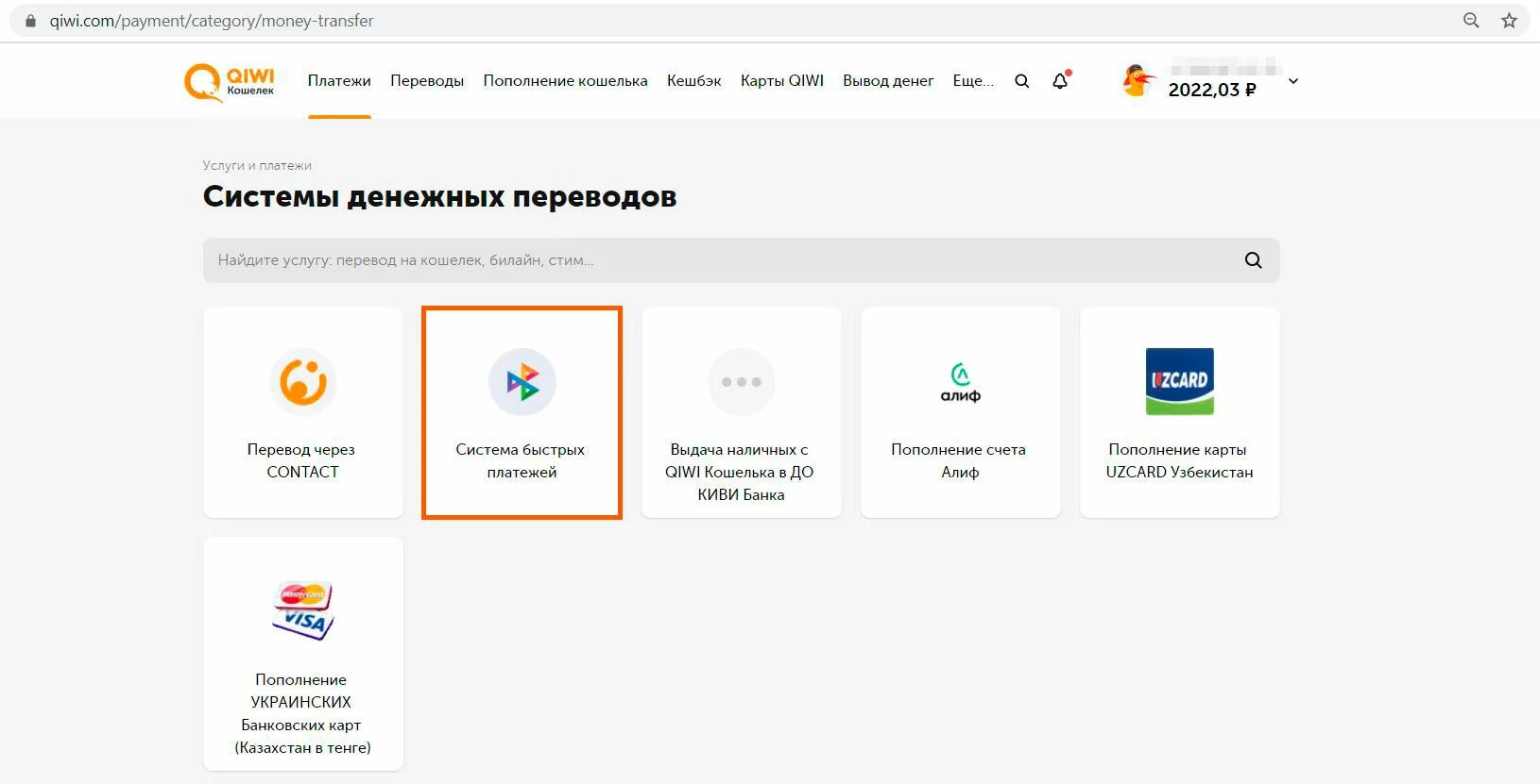 Система быстрых платежей QIWI. Киви кошелек 2022. СБП QIWI. СБП киви банк. Не могу пополнить кошелек вайлдберриз через сбп