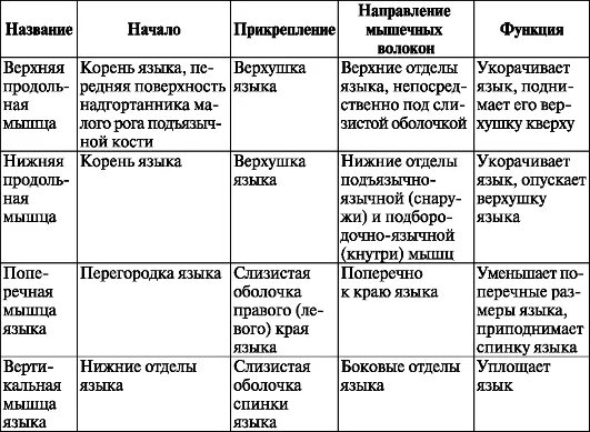 Начало прикрепление функции мышц. Скелетные мышцы языка таблица. Мышцы языка анатомия таблица. Таблица мышцы языка скелетные и собственные мышцы. Скелетные мышцы языка анатомия таблица.