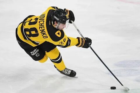 Kot severstal