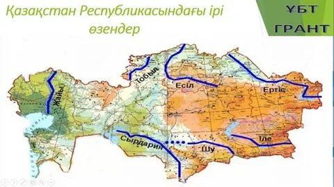 Кішкентай транни видеосы