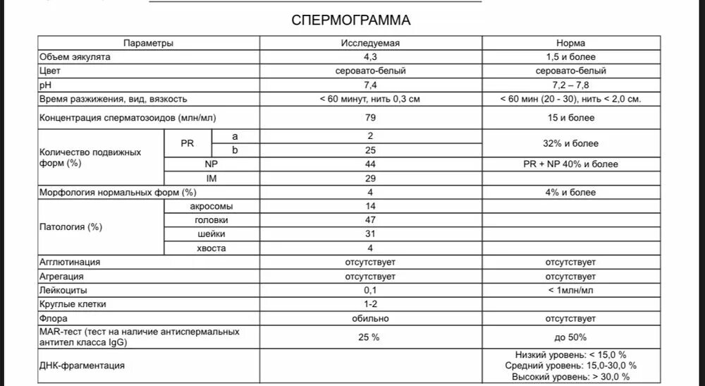 Днк методом tunel. Расшифровка фрагментации ДНК спермограммы. Норма показателей фрагментации ДНК спермограммы. Фрагментация спермограммы ДНК расшифровка анализа.