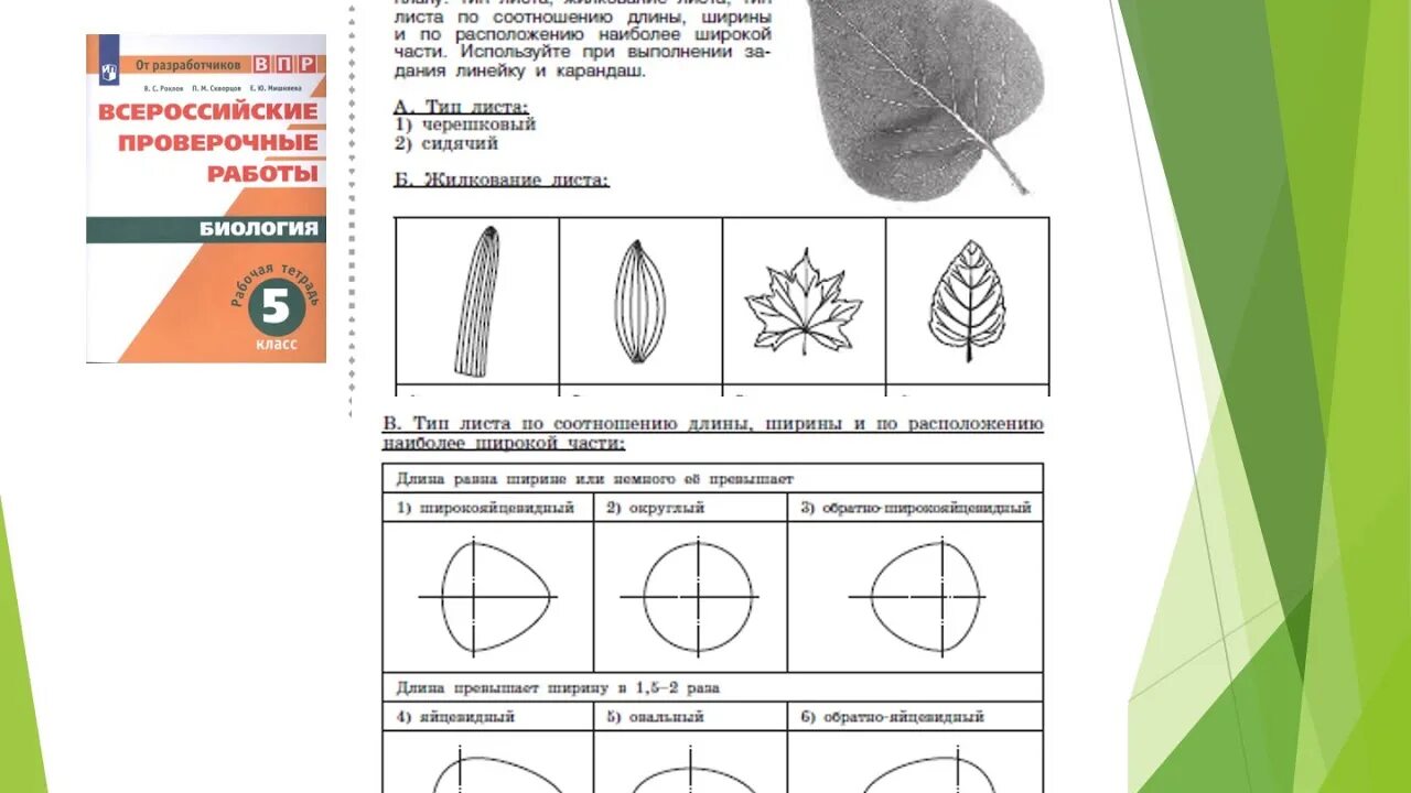 Bio vpr sdamgia. ВПР биология 5 класс. ВПР по биологии 5 класс задания. Впвпр по биологии 5 класс. Подготовка к ВПР по биологии.