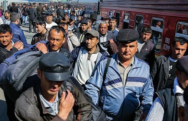 В теракте участвовали таджики. Гастарбайтеры в России. Узбекские гастарбайтеры. Трудовые мигранты. Гастарбайтеры в Москве.