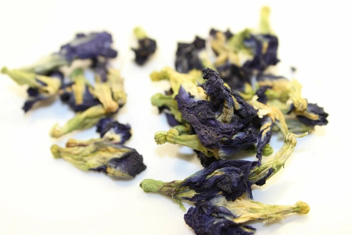 Чай кудин свойства и противопоказания. Кудин чай полезные свойства и противопоказания. Кудин чай тайский. Кудин чай тайский. Кудин чай тайский.