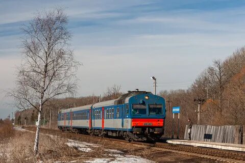 Ферзиково калуга