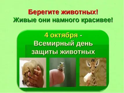 Книжка берегите животных