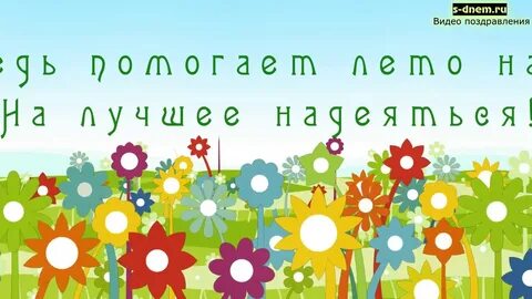 Видео с поздравлением лета